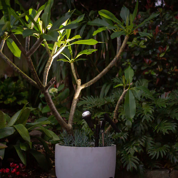 Luxe Spotlight op Zonne Energie