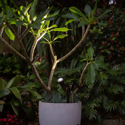 Luxe Spotlight op Zonne Energie