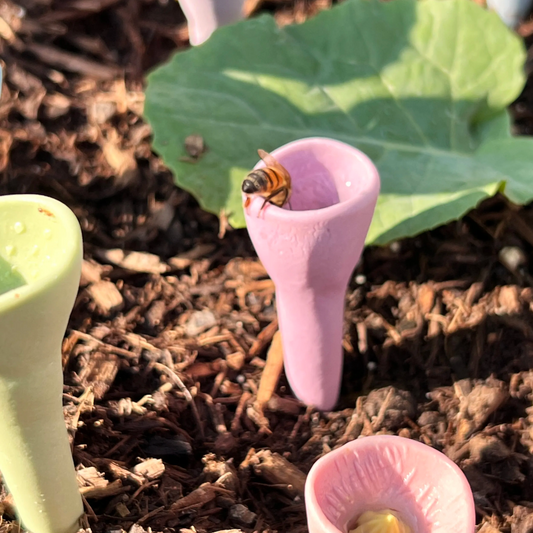 BeeCups